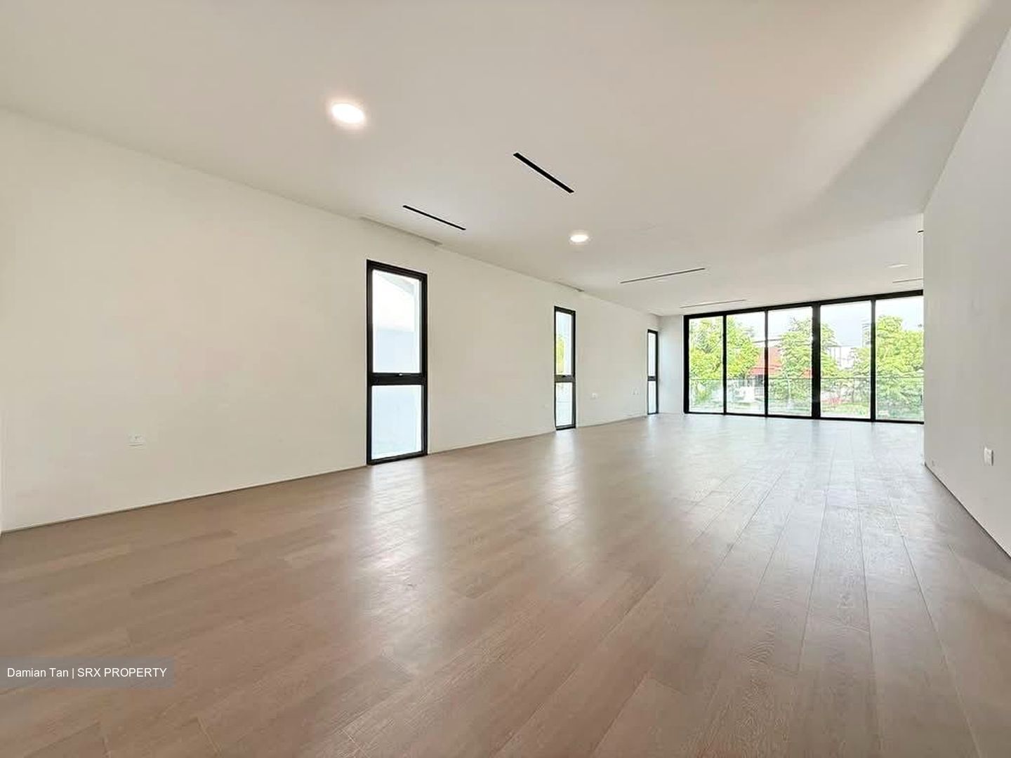 Henry Park (D10), Detached #534710991